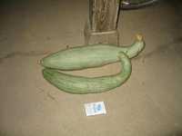 i0