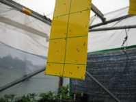i1