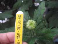 i0
