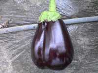i1