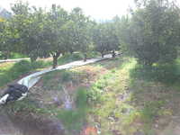 i1