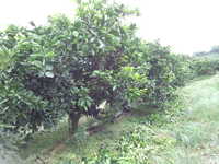 i1