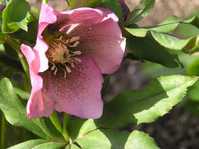 i2