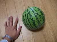 i0