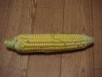 i0