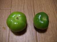 i2