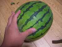 i0
