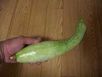i0