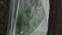i1
