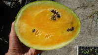 i0