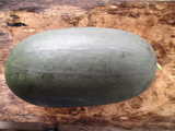 i0