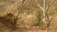 i2