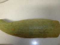 i1