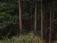i2