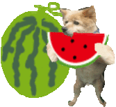 i1