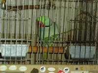 i1