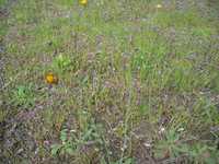 i1