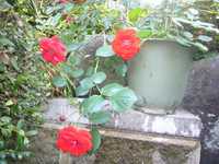 i2