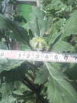 i2