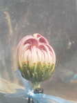 i2