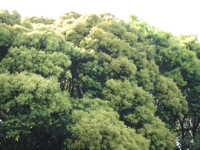 i2