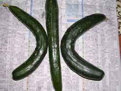 img0