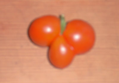 img0