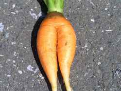 img0