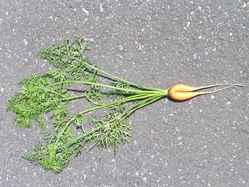 img1