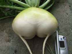 img0